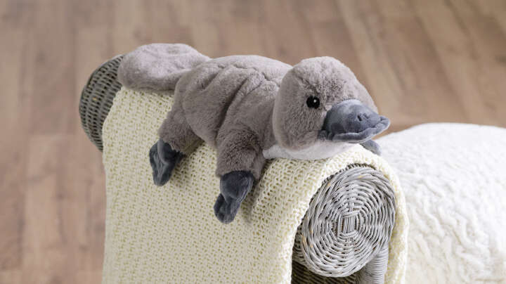 Warmies Wärmekuscheltier Schnabeltier